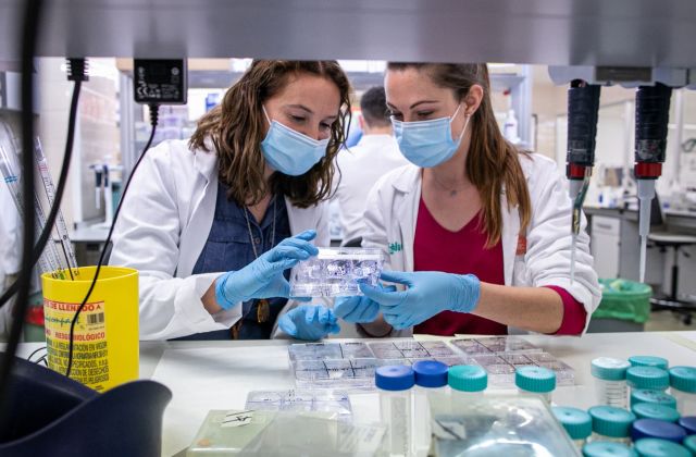 investigación biomédica y psicosocial
